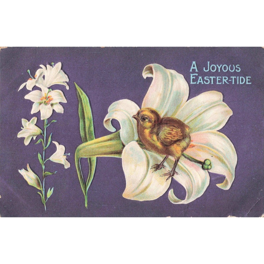 Vintage Embossed Easter Postcard Bird White Lily Joyous Easter-Tide Purple VG- - Picture 1 of 2